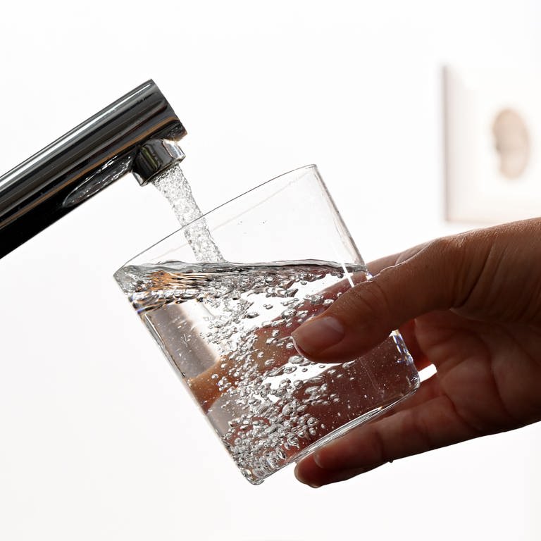 Eine Hand hält ein Wasserglas unter einen Wasserhahn (Foto: picture-alliance / Reportdienste, picture alliance/dpa | Bernd Weißbrod)