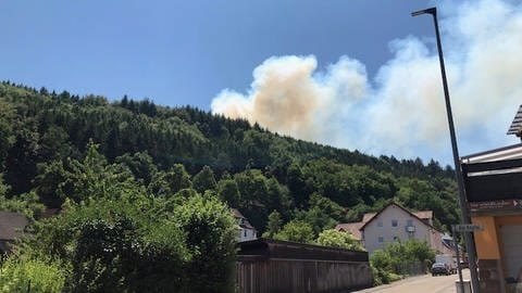 Waldbrand zwischen Pirmasens und Rodalben  (Foto: Polizei Kaiserslautern)