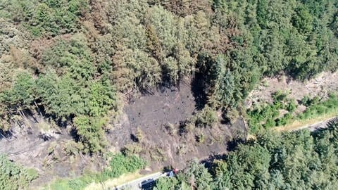 Der Brandherd des Waldbrandes zwischen Pirmasens und Rodalben von oben. (Foto: SWR)