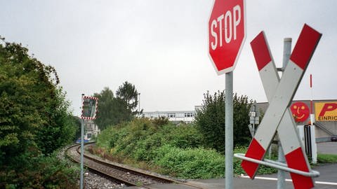 Symbolbild unbeschrankter Bahnübergang (Foto: picture-alliance / Reportdienste, picture-alliance/ dpa | Pro Bahn)