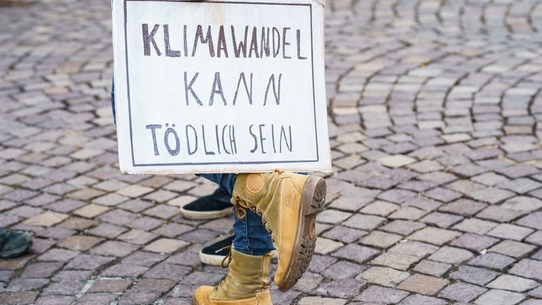 Demonstrantin mit Schild "Klimawandel kann tödlich sein"  (Foto: dpa Bildfunk, picture alliance/dpa | Andreas Arnold)