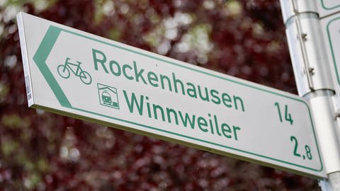 Im Donnersbergkreis ist zudem die Beschilderung der Radwege überarbeitet worden.  (Foto: SWR)
