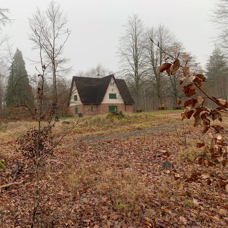 Nibelungenheim bei Elmstein bei grauem Winterwetter. (Foto: SWR)