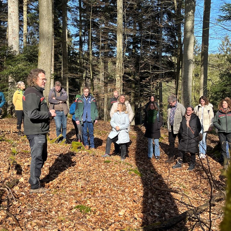 Bernhard Frauenberger hat als Forst-Referent im Landesumweltministerium an den neuen Leitlinien für das Biosphärenreservat Pfälzerwald mitgearbeitet. (Foto: SWR)