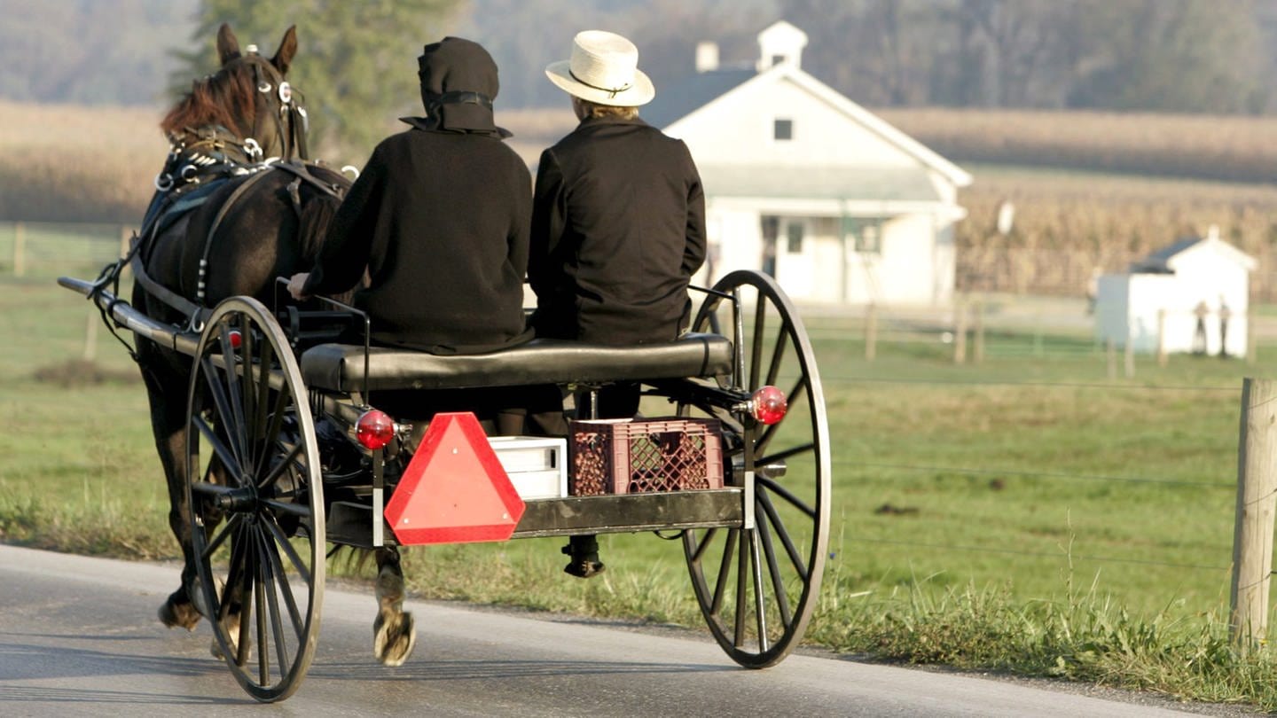 Ein Amisch-Paar fährt in einer Kutsche in Pennsylvania. (Foto: dpa Bildfunk, epa Matthew Cavanaugh)