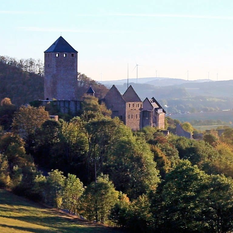 Burg Lichtenberg im Kreis Kusel im Sonnenschein. Ein wichtiges Angebot im Tourismus. (Foto: SWR)