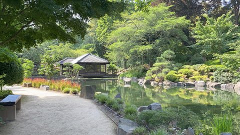Im Japanischen Garten in Kaiserslautern steht ein original japanisches Tee- und Gästehaus.  (Foto: SWR)