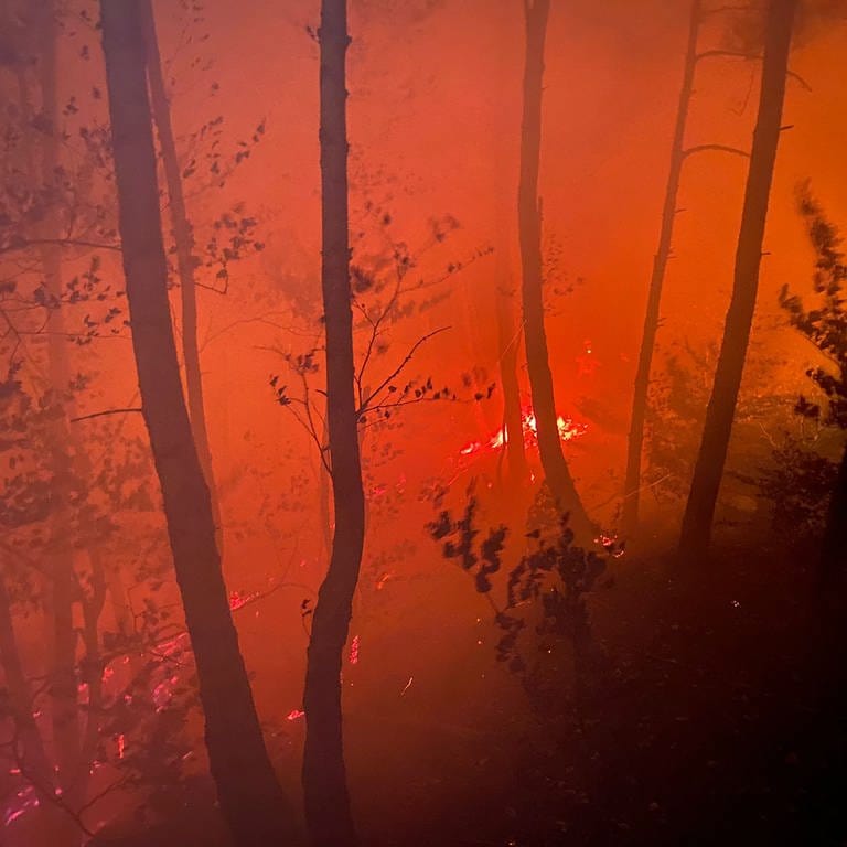Waldbrand bei Erfweiler