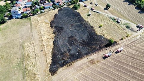 Auf einem Feld bei Höheischweiler in der Südwestpfalz hat es gebrannt. (Foto: Pressestelle, Feuerwehr Pirmasens)