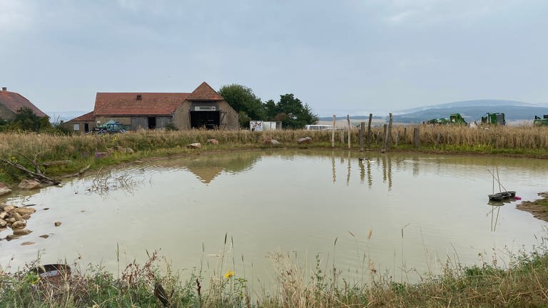 Teich am Hof Lebensberg in Obermoschel bei grauem Himmel im Sommer