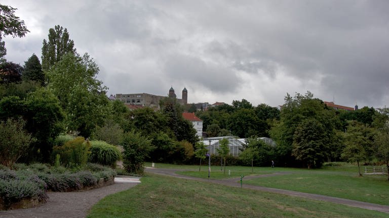 Blick aus dem Park aufs Gewächshaus 2022. (Foto: SWR, Moritz Hackl)