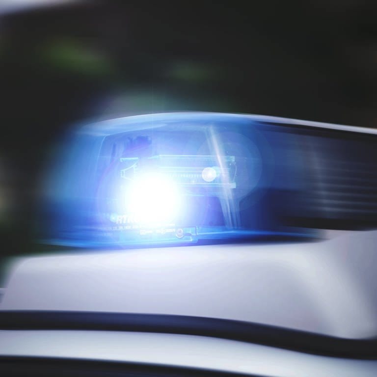 Ein Blaulicht auf einem Polizeiauto (Foto: picture-alliance / Reportdienste, picture alliance / Fotostand | Fotostand / K. Schmitt)