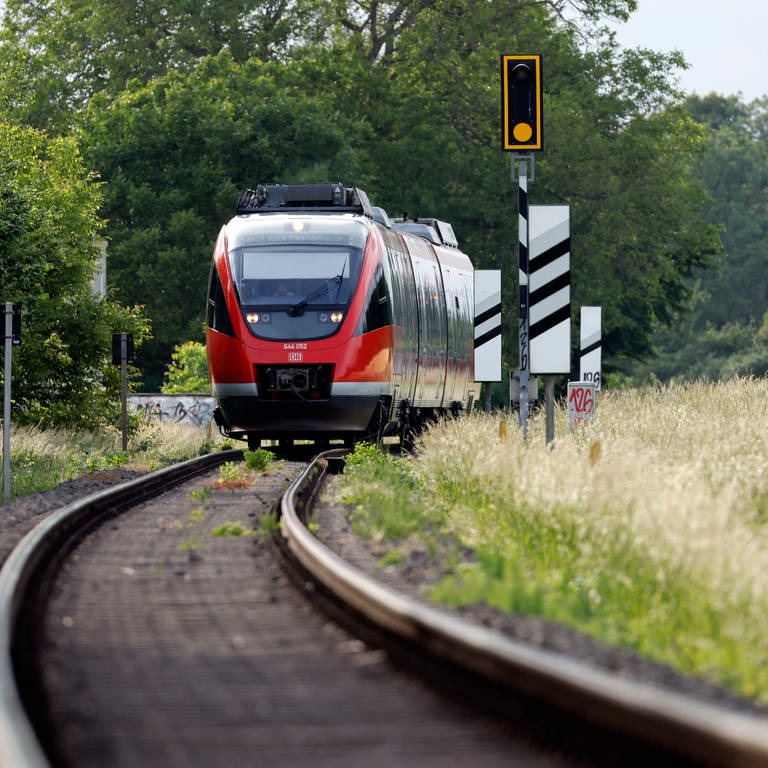 Eine Regionalbahn fährt an einem Feld vorbei (Foto: picture-alliance / Reportdienste, picture alliance / Panama Pictures | Christoph Hardt)