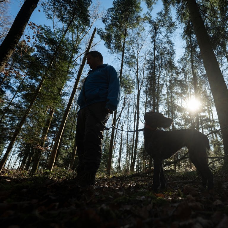 Das Forstamt Kusel kann Wilderei im Wald nur schwer bekämpfen (Foto: dpa Bildfunk, picture alliance/dpa | Marijan Murat)