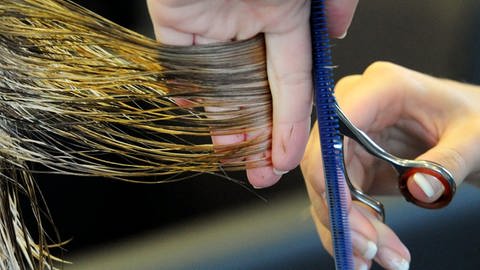 Friseurin hat Haarsträhne in der Hand und setzt Schere an (Foto: picture-alliance / Reportdienste, Carsten Rehder)