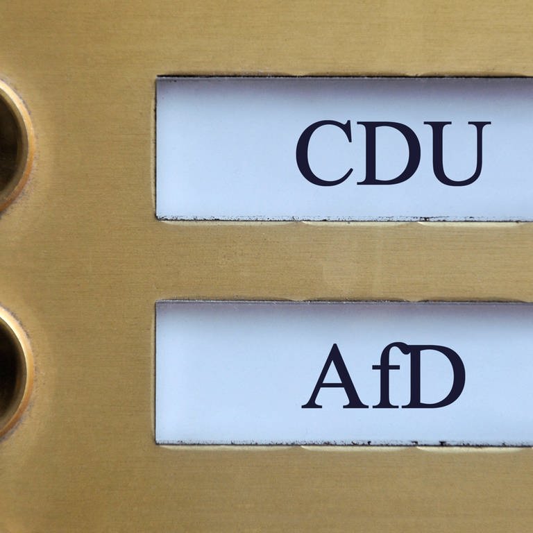 Der Konflikt um die gemeinsame Fraktion der CDU und der AFD in Frankenstein (Pfalz) schlug bundesweit Wellen. (Foto: IMAGO, Imago)