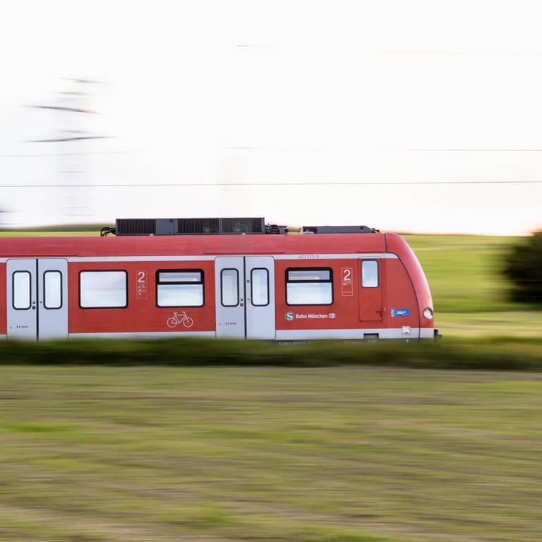 In den Sommerferien wird die Bahnstrecke zwischen Kaiserslautern und Neustadt immer an den Wochenenden gesperrt. Auch nachts fahren die S-Bahnen und Regionalexpresszüge nicht. (Foto: picture-alliance / Reportdienste, picture alliance/dpa | Matthias Balk)