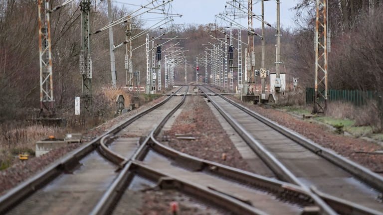 Leere Bahngleise: Mit Handwerksarbeiten hat ein Mann die Alsenzbahn lahm gelegt (Foto: dpa Bildfunk, picture alliance/dpa/dpa-Zentralbild | Patrick Pleul)