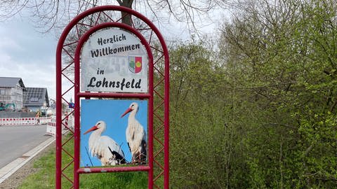 Drei Ortsschilder mit Fotos der Störche stehen an den Ortseingängen von Lohnsfeld im Donnersbergkreis. (Foto: SWR)