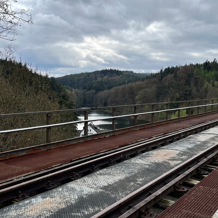 Das Eistalviadukt ist mit 271 Metern die längste Eisenbahnbrücke der Pfalz. (Foto: SWR)