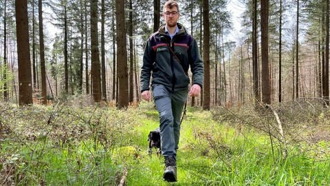 Unterwegs im "Wald der Zukunft" bei Pirmasens: Florian Kemkes, der Leiter des Forstamtes Westrich.  (Foto: SWR)