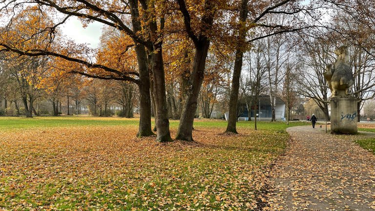 Im Volkspark in Kaiserslautern soll ein 16-Jähriger mit einem Hammer attackiert worden sein. (Foto: SWR)