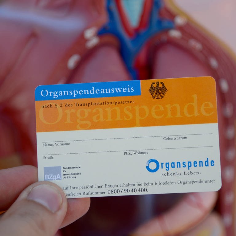 Ein Organspendeausweis  (Foto: dpa Bildfunk, picture alliance/dpa | Daniel Maurer)