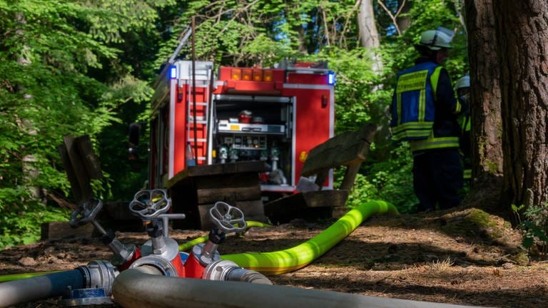 Waldbrandgefahr im Westen der Pfalz steigt an - Feuerwehrauto im Wald