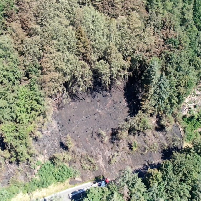 Der Brandherd des Waldbrandes zwischen Pirmasens und Rodalben von oben. (Foto: SWR)