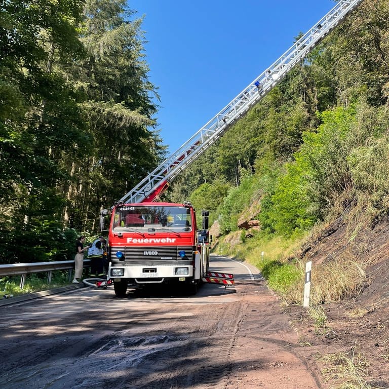 Die Feuerwehr Rodalben ist weiterhin bei dem Waldbrand im Einsatz. Das Gelände, auf dem es gebrannt hat, kann wegen der Hitze nach wie vor nicht betretenw erden. 
