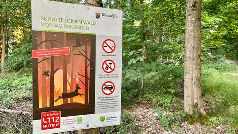 Mit Hinweisschildern - wie hier auf dem Donnersberg - wollen die Forstämter auf die Gefahren eines Waldbrandes aufmerksam machen.