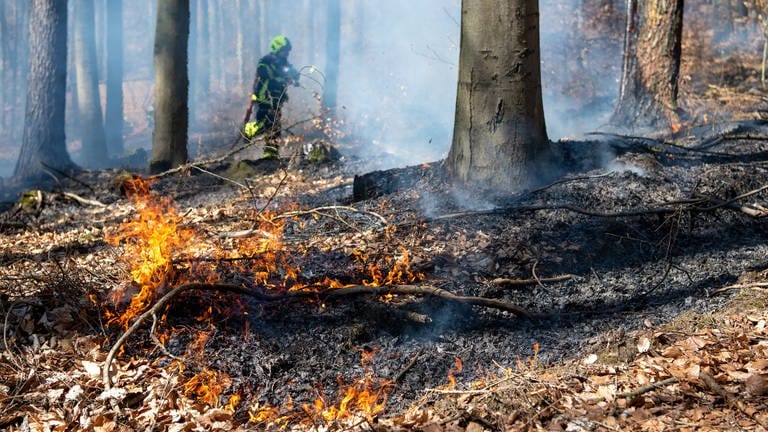Die Feuerwehr löscht einen Waldbrand. (Foto: IMAGO, IMAGO / mhphoto)