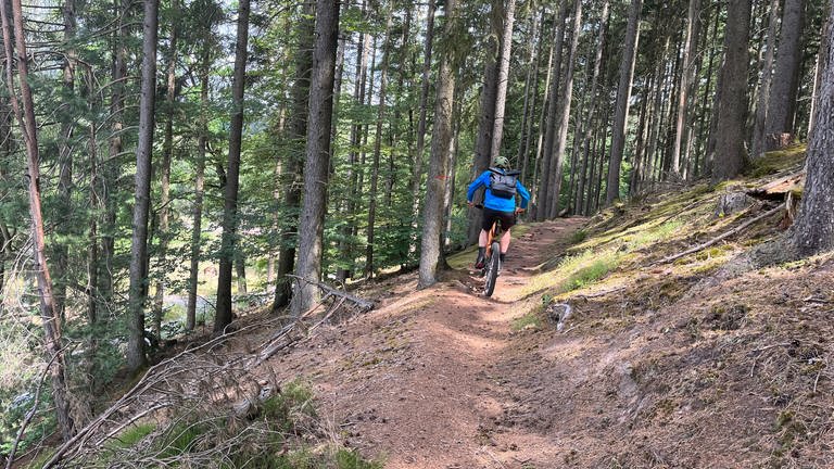 Pfälzerwald: Mountainbiker fährt auf einem Single Trail 