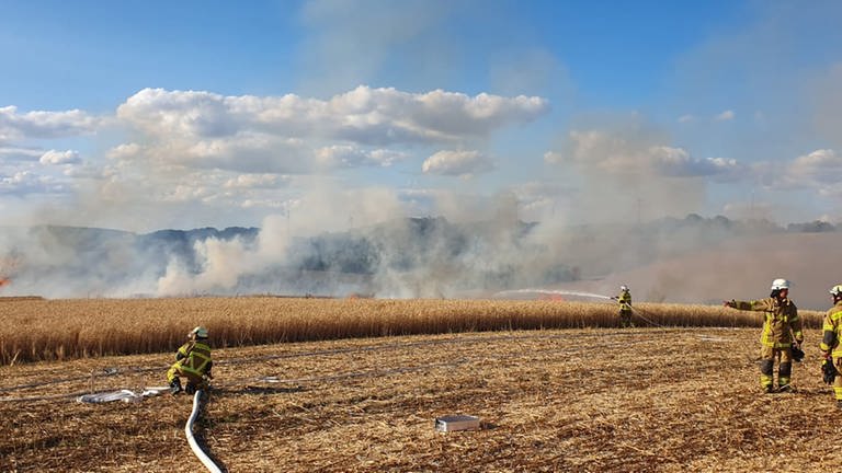 Ein Falken-Paar hat bei Niederkirchen im Kreis Kaiserslautern einen Flächenbrand ausgelöst.