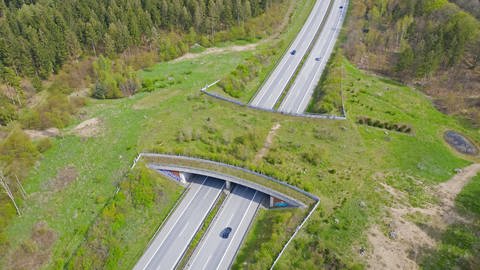 Luftaufnahme einer Grünbrücke für Wildtiere führt über eine Autobahn in Schleswig-Holstein. (Foto: IMAGO, IMAGO / imagebroker)