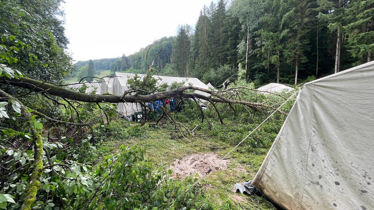 Auf einem Platz zwischen Kleinsteinhausen und Walshausen in der Südwestpfalz stürzte ein Baum zwischen Zelten. (Foto: SWR)