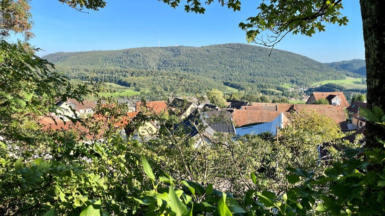 Auf dem Schlossberg in Ruppertsecken gibt es einen herrlichen Ausblick - unter anderem auf den Donnersberg. Eine Rentnergruppe kümmert sich ehrenamtlich im höchstgelegenen Dorf der Pfalz um die Pflege der Anlagen. Für einen Gemeindearbeiter fehlt das Geld. 