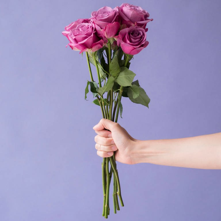 Falsche Rosenverkäuferinnen sammeln in Pirmasens angeblich Geld für die Tafel.  (Foto: picture-alliance / Reportdienste, picture alliance / Bildagentur-online/Blend Images | Blend Images/JGI/Jamie Grill)