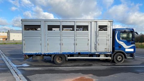 Die Polizei hat einen Tiertransport mit Kühen auf der A6 bei Ramstein gestoppt