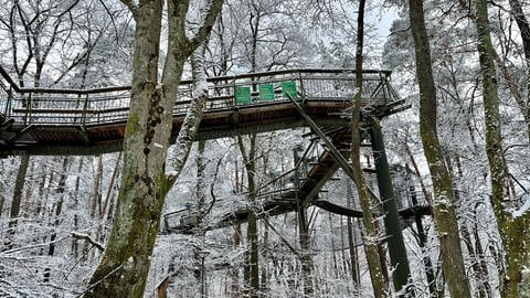Der Baumwipfelpfad in Fischbach bei Dahn ist derzeit wie das benachbarte Biosphärenhaus geschlossen. 