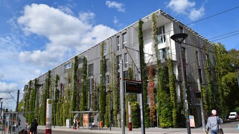 An diesem Beispiel aus Freiburg sieht man, wie Hausbesitzer ihre Fassade begrünen können. (Foto: Bundesverband Gebäudegrün)