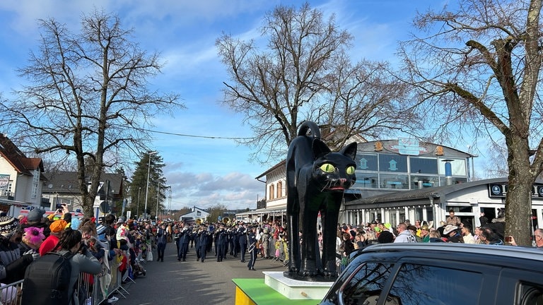 Umzug an Fastnachtsdienstag in Ramstein-Miesenbach (Foto: SWR)