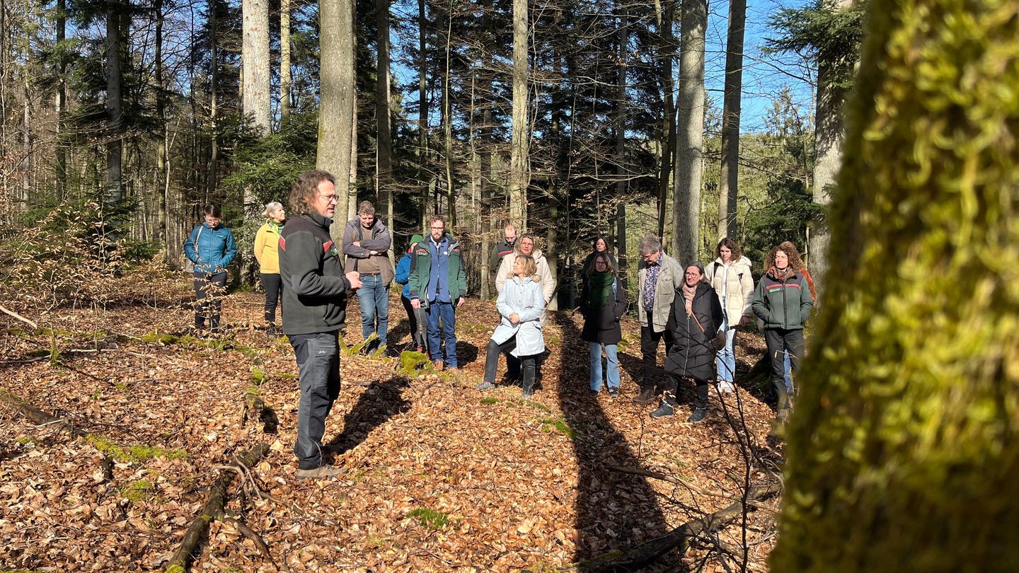 Bernhard Frauenberger hat als Forst-Referent im Landesumweltministerium an den neuen Leitlinien für das Biosphärenreservat Pfälzerwald mitgearbeitet. (Foto: SWR)