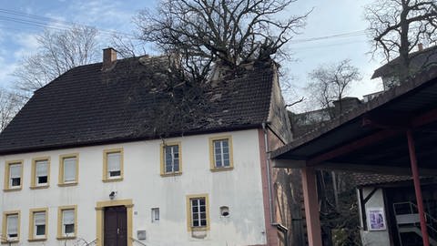 In Katzweiler ist ein Baum auf ein unbewohntes Haus gestürzt (Foto: Polizeipräsidium Westpfalz)
