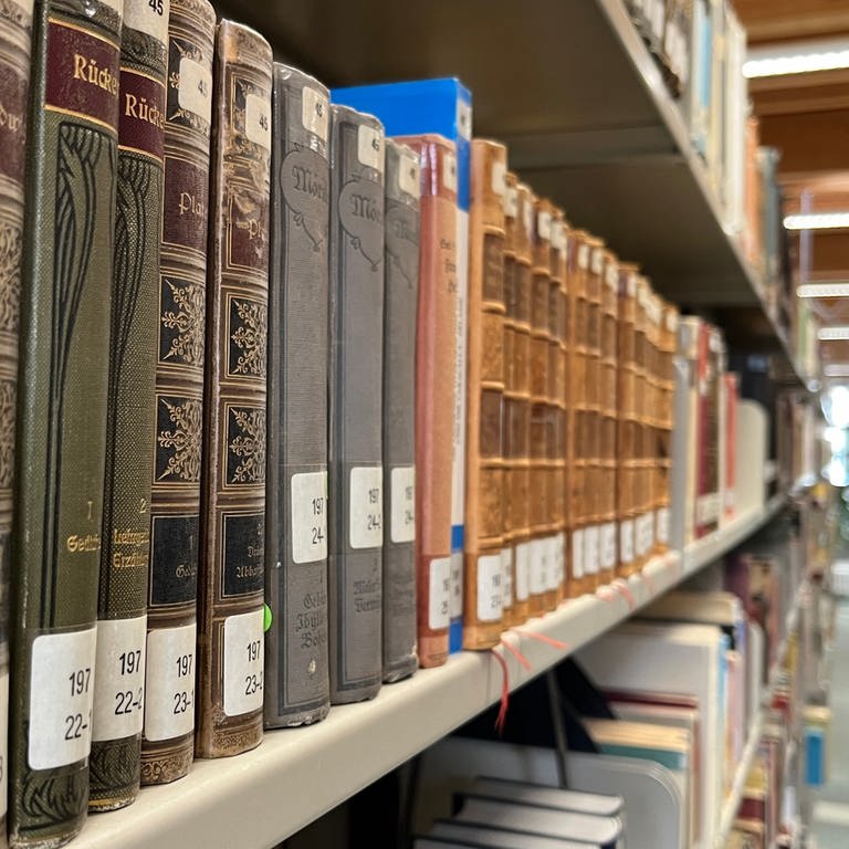 Auch an der Uni-Bibliothek in Kaiserslautern gibt es Bücher, die mit Arsen belastet sein könnten. (Foto: SWR)