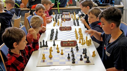 Viele Kids zwischen sechs und zehn Jahren sind für die Pfalz bei den Schul-Schachmeisterschaften angetreten. 