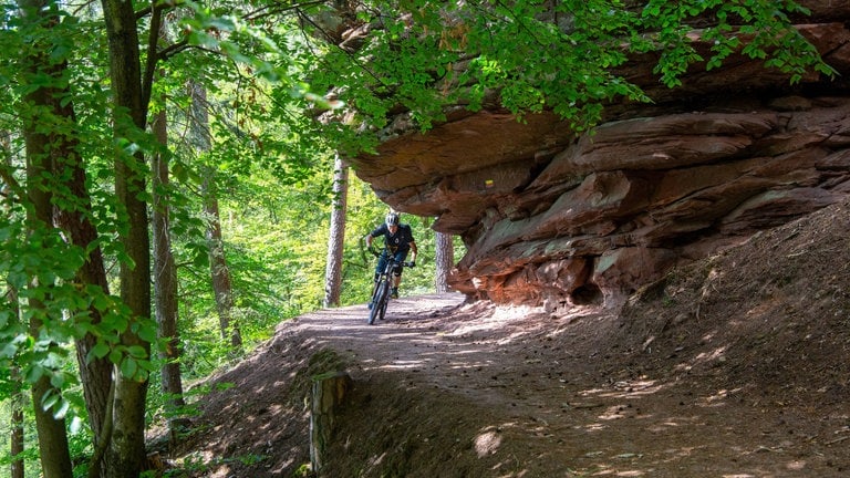 Ein Mountainbiker fährt in der Südwestpfalz an einem Sandseinfelsen vorbei. (Foto: IMAGO, IMAGO/Herrmann Agenturfotografie)