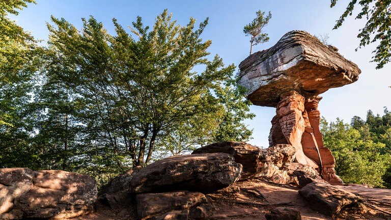 Beeindruckender Sandstein: Der Teufelstisch bei Hinterweidethal in der Südwestpfalz.