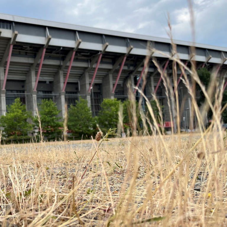 Auf dem Parkplatz hinter der Südtribüne des Fritz-Walter-Stadions in Kaiserslautern könnte ein größeres Gebäude mit Parkhaus, Sport- und Gesundheitseinrichtungen entstehen.  (Foto: SWR)