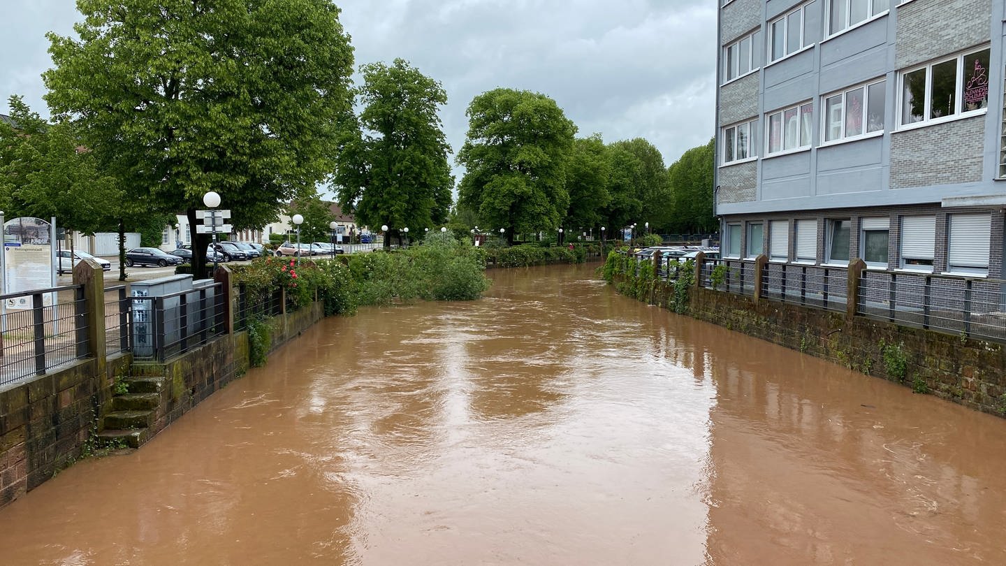 In Zweibrücken hat der Schwarzbach Hochwasser. (Foto: SWR)